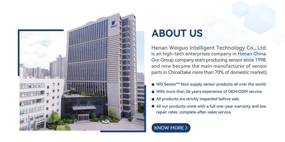 CHINA Henan Weiguo Intelligent Technology Co., Ltd. Perfil da companhia